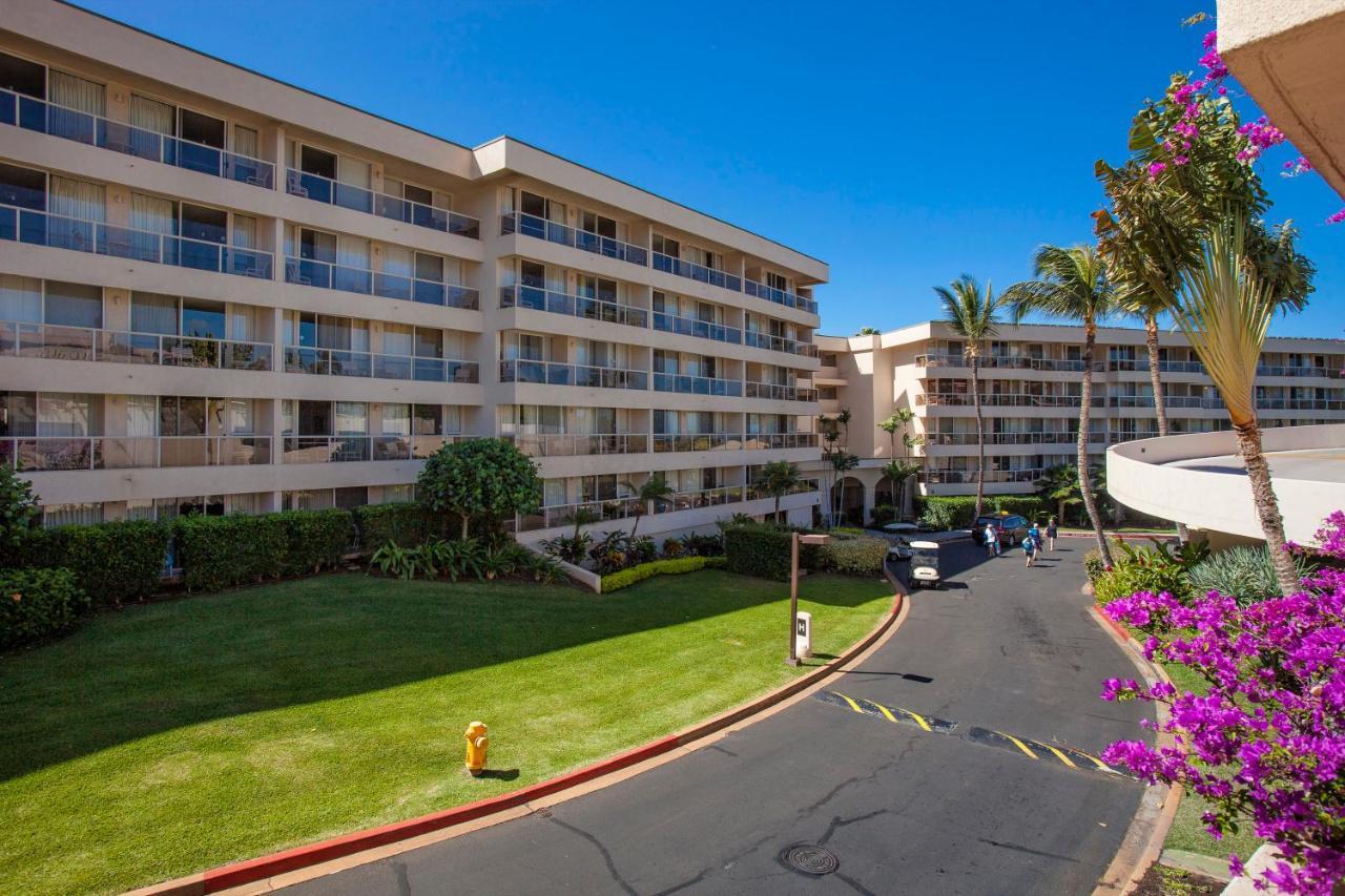 Maui Banyan H311 1Bd 2Ba 3 Min Walk To The Beach In The Heart Of South Kihei! Wailea  Exterior photo