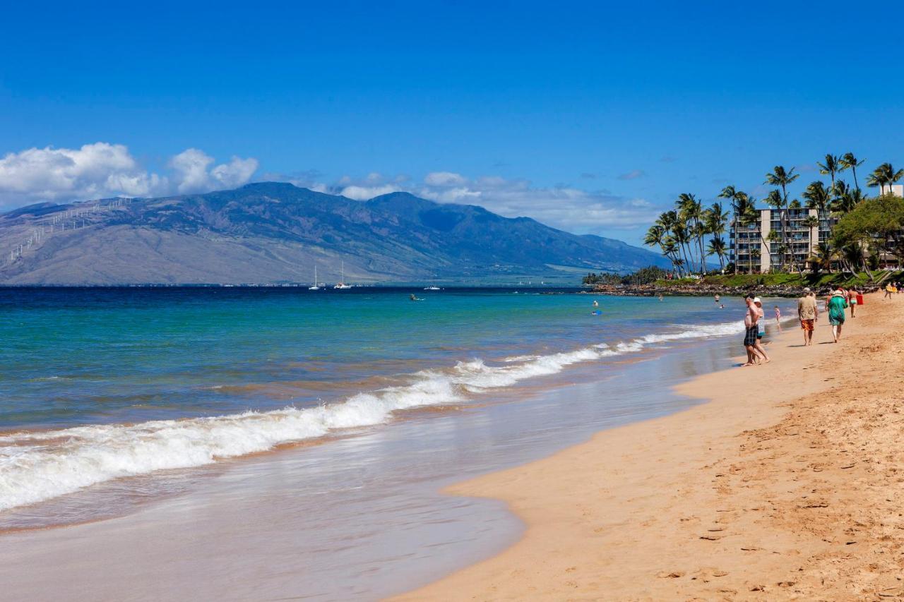 Maui Banyan H311 1Bd 2Ba 3 Min Walk To The Beach In The Heart Of South Kihei! Wailea  Exterior photo